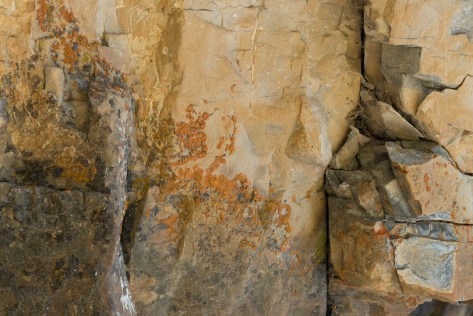 _DSC1906- ©Derek Chambers