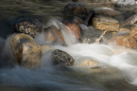 _DSC1911- ©Derek Chambers