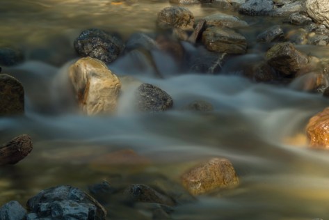 _DSC1914- ©Derek Chambers