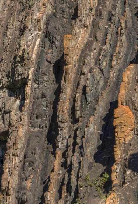 _DSC1919- ©Derek Chambers