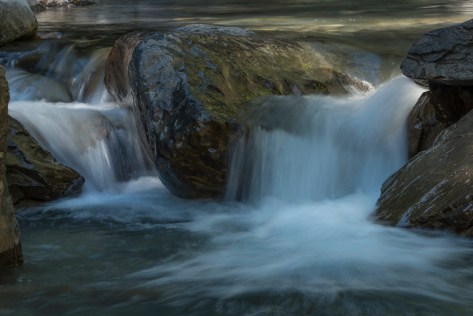 _DSC1937- ©Derek Chambers