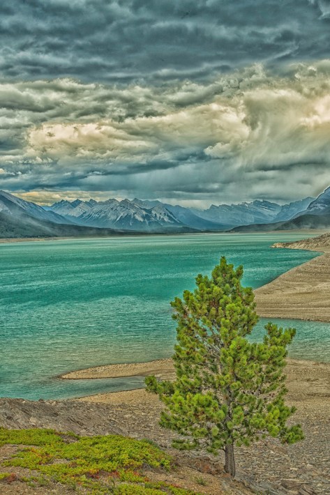 _DSC2097-207-1446- ©Derek Chambers