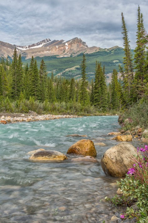 _DSC2105-212-1447-1449- ©Derek Chambers