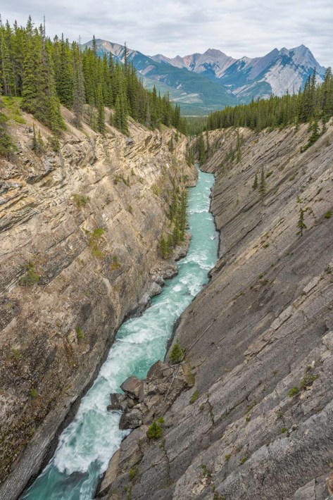 _DSC2119-214- ©Derek Chambers