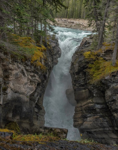 _DSC2128-216-217- ©Derek Chambers