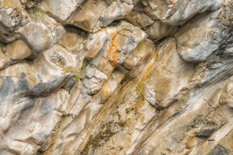 _DSC2134-218- ©Derek Chambers