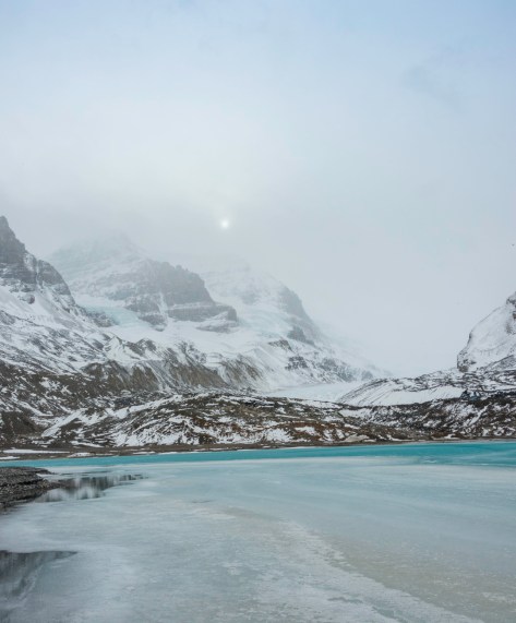 _DSC4916- ©Derek Chambers- ©Derek Chambers