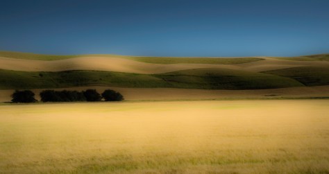 Palouse Panorama - ©Derek Chambers