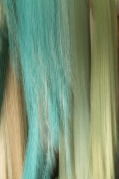 Impressions - Hanging Nets - ©Derek Chambers