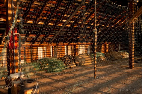 _DSC9206-610StrSigFlt- Derek Chambers