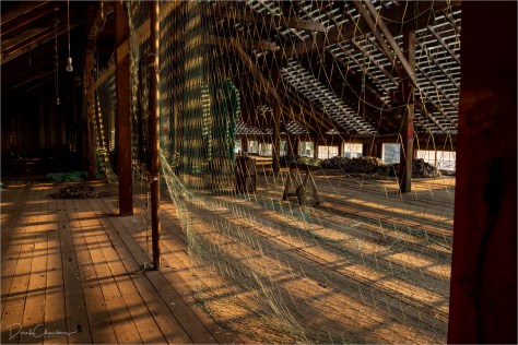 _DSC9223-609StrSigFlt- Derek Chambers