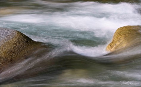 _SNY1606-575StrSigFlt- Derek Chambers