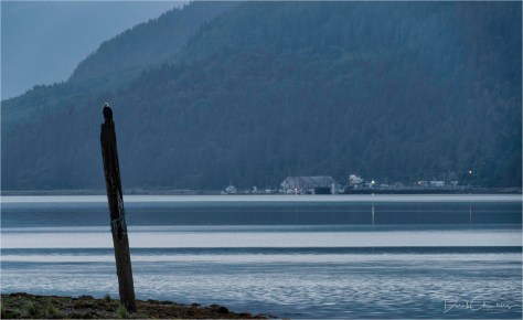 _SNY1653-587-589StrSigFlt- Derek Chambers